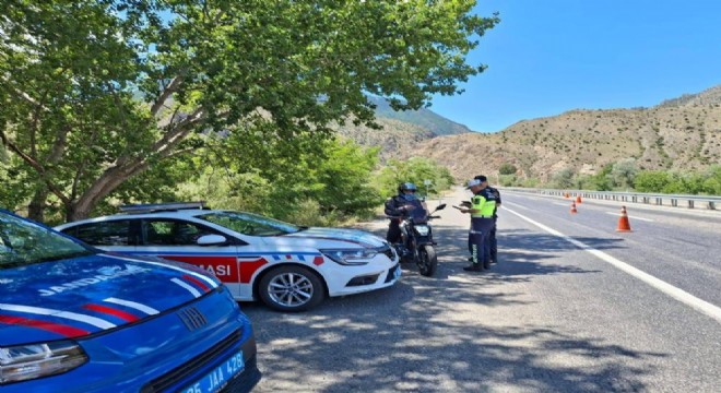 177 araç trafikten men edildi