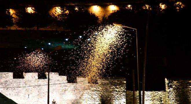 Ardahan'da 'bir günlüklerin' ölüm uçuşu
