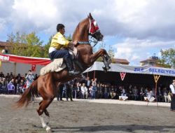 Cirit coşkusu başlıyor