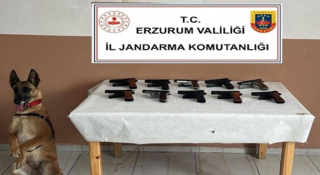 Jandarmadan silah operasyonu