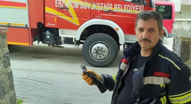 Karga yavrusuna uzanan şefkat eli