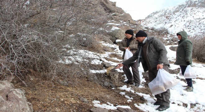 Oltulu doğaseverlerden yaban hayatına destek