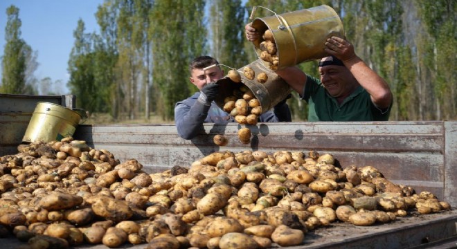 Tarım-GFE yıllık yüzde 29,73 arttı