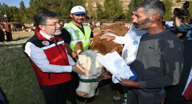 Yumaklı kurban kesim verilerini açıkladı
