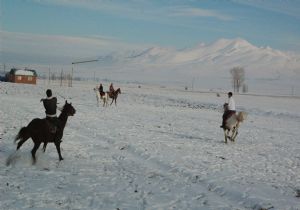 Haydari Köyünde Cirit Şöleni