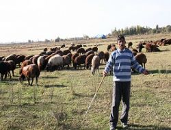 Metzamora tepkiler devam ediyor