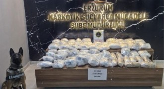 37 kilo 150 gram skunk ele geçirildi