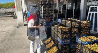 Gıda İşletmelerine 568 Denetim Gerçekleştirildi