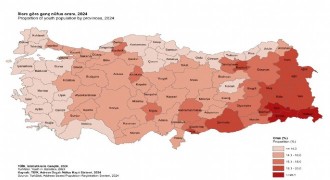 İstatistiklerle Gençlik 2024 verileri açıklandı