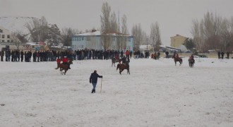 Kar üstünde cirit heyecanı