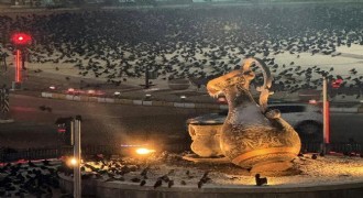 Kargalar sokakları sardı