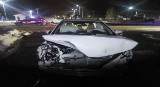 Otomobil domuz sürüsüne çarptı: 3 yaralı