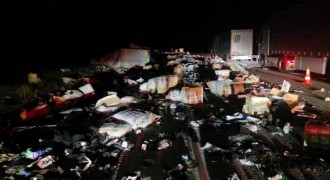 Sakaltutan'da kaza: 1 yaralı