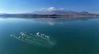 Süphan Dağı manzarasında kuğu dansı