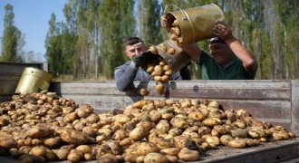 Tarım-GFE yıllık yüzde 29,73 arttı