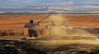 Tarım-ÜFE yıllık yüzde 28,96 arttı