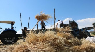 Tarlalarda hasat başladı