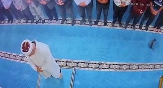 Camide kediyi tekmeleyen şahıs gözaltına alındı
